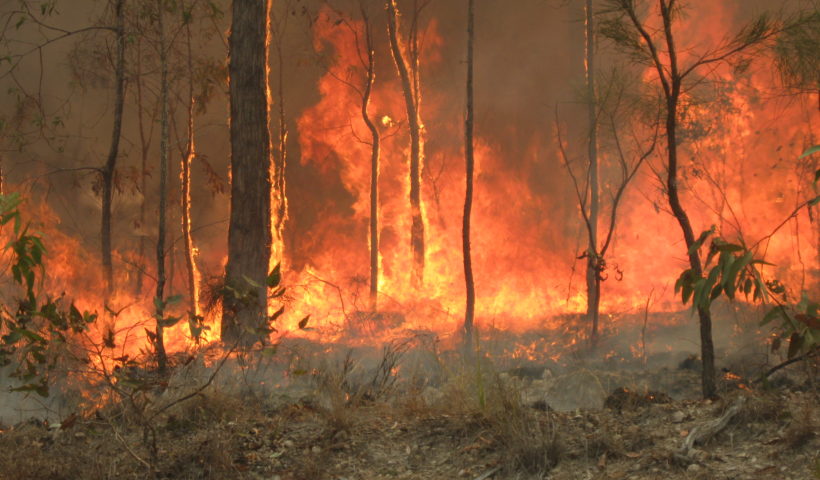 Australia in fiamme