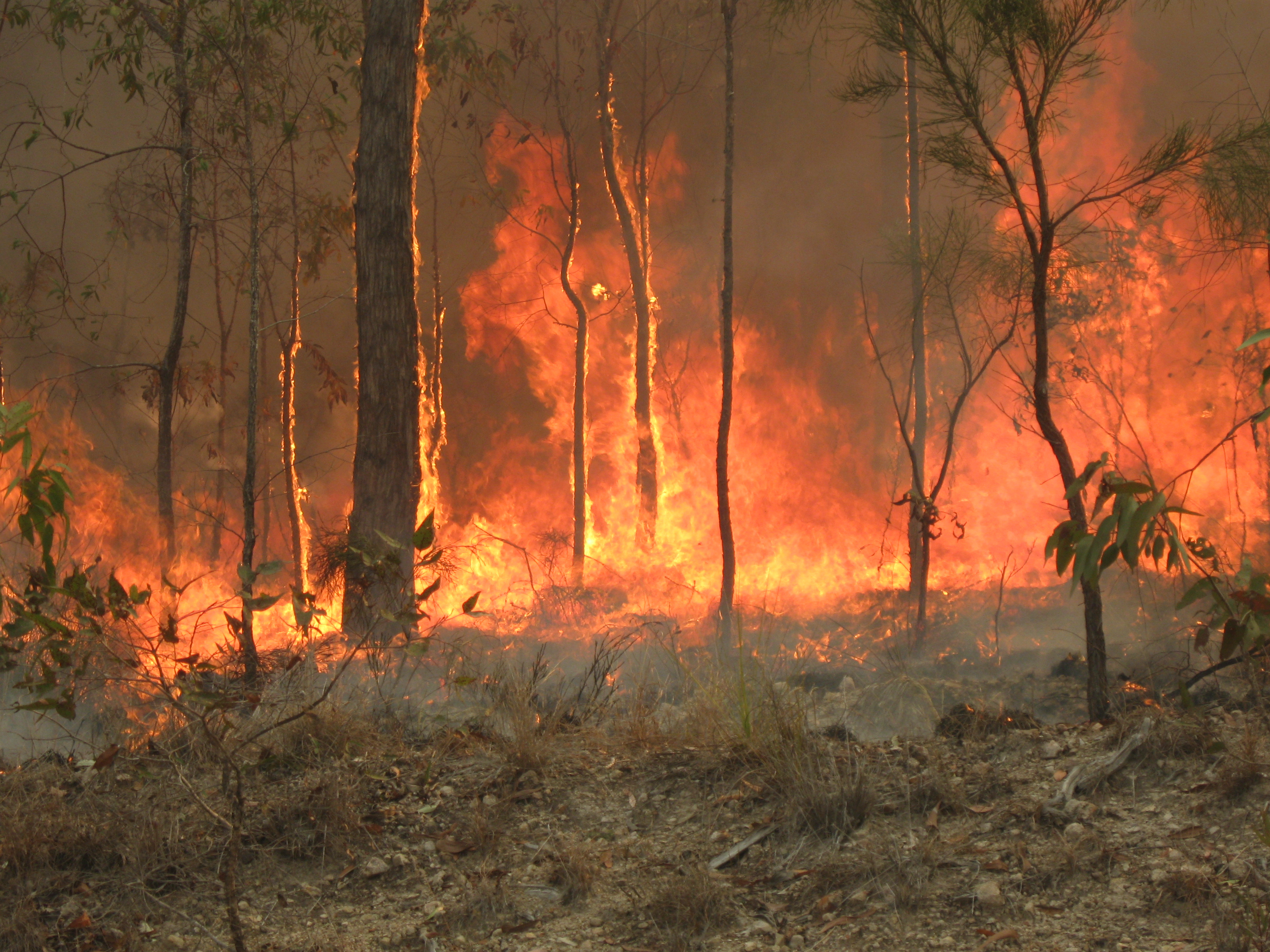 Australia in fiamme