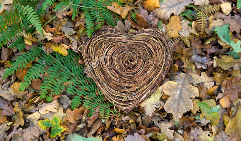 Natura Romantica (Fonte: Alamy)