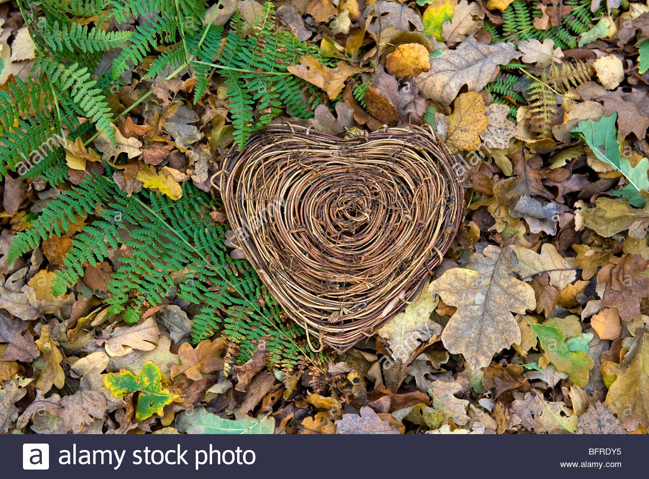 Natura Romantica (Fonte: Alamy)