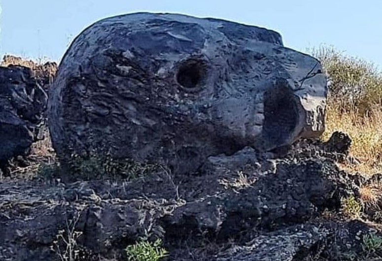 l’Antenato di Vladimir Velickovic. Si tratta di una scultra, in cui un enorme teschio è adagiato sulla nuda terra. 
